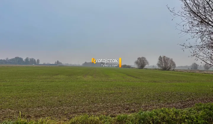 Działka budowlana Drewnica, ul. Wierzbowa