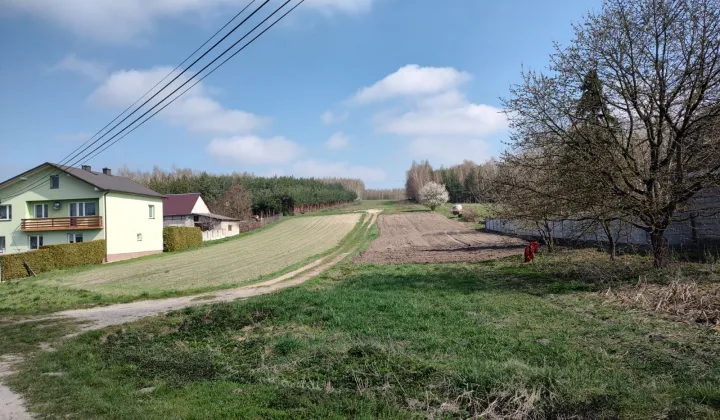 Działka rolna Szyszczyce