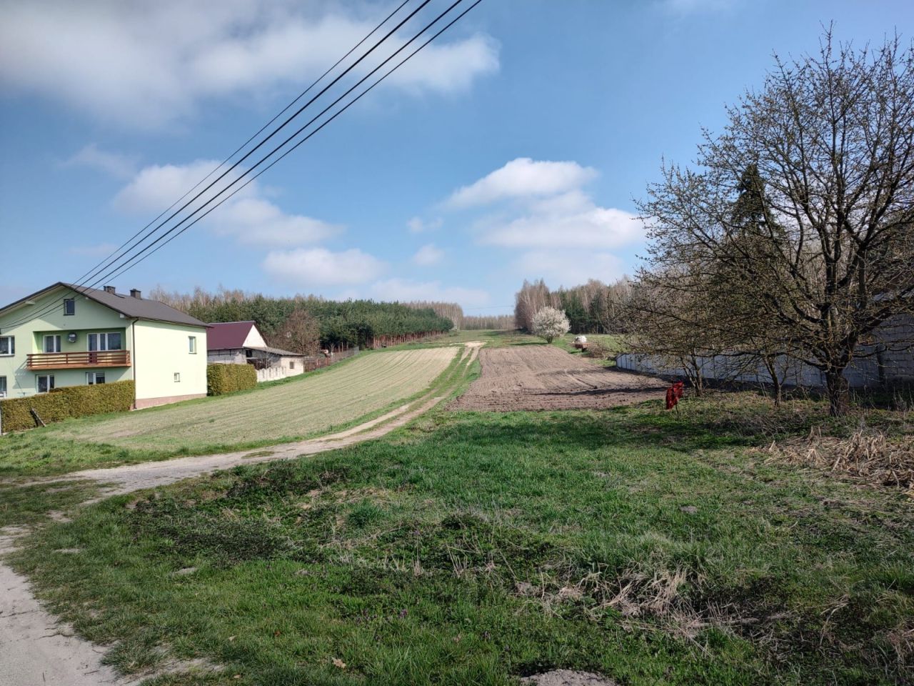 Działka rolna Szyszczyce. Zdjęcie 1