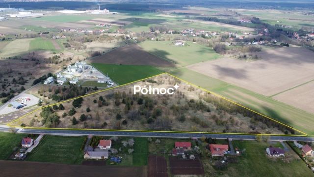 Działka inwestycyjna Wykroty. Zdjęcie 2