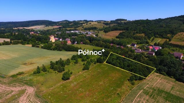Działka rolna Laski. Zdjęcie 5