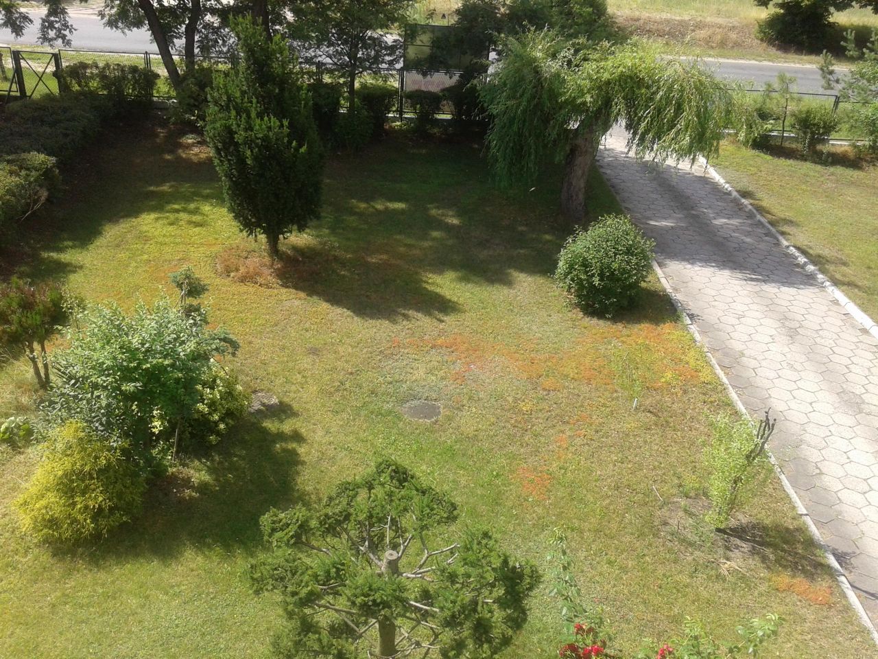 inny, 11 pokoi Skępe, ul. Sierpecka. Zdjęcie 2