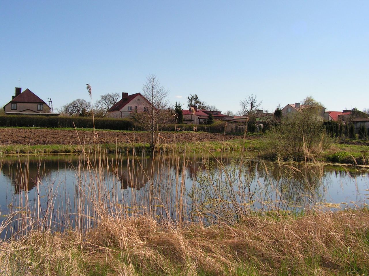 Działka inwestycyjna Bezledy. Zdjęcie 13