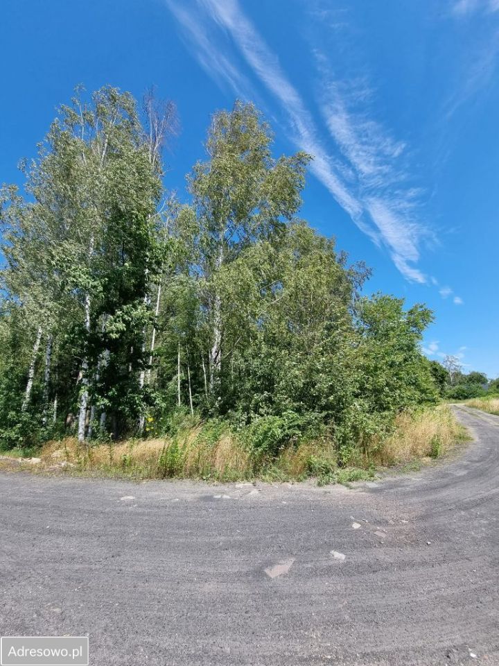 Działka budowlana Stara Wieś, ul. Łosia. Zdjęcie 3