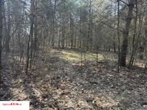 Działka budowlana Siestrzeń. Zdjęcie 4