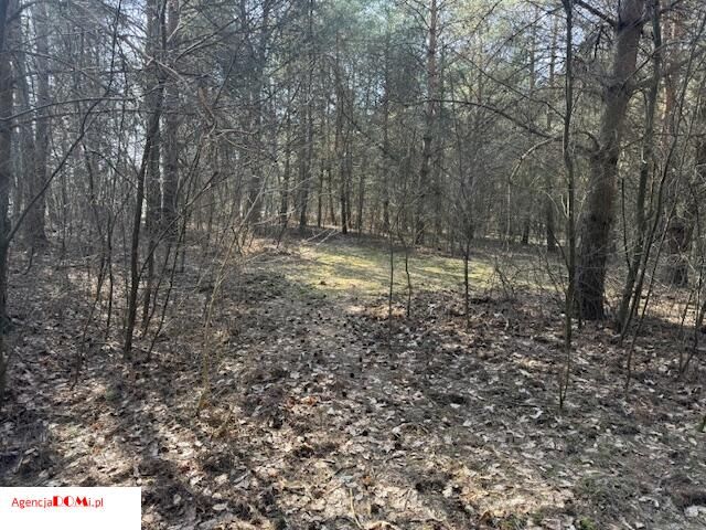 Działka budowlana Siestrzeń. Zdjęcie 6