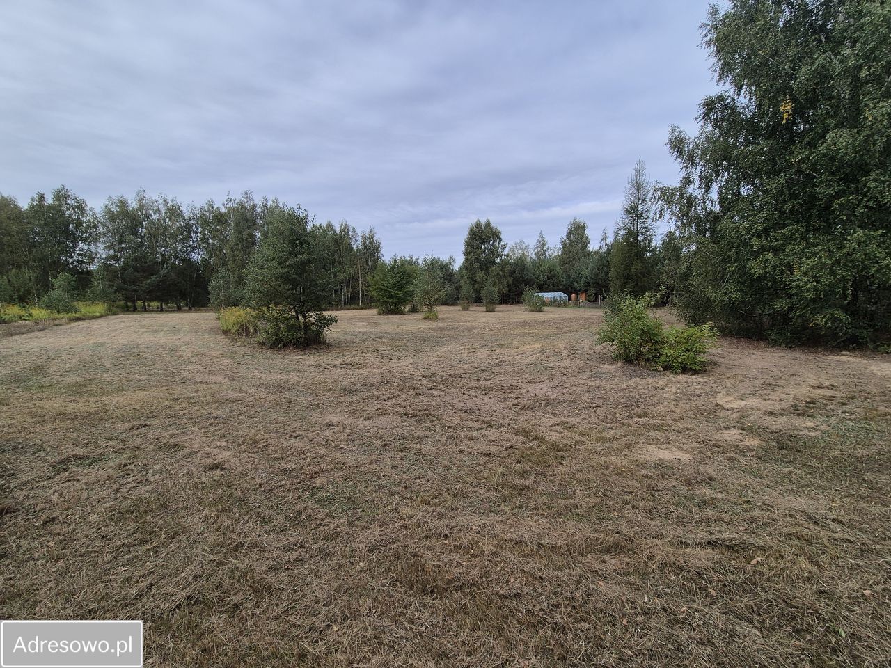 Działka budowlana Szymanówek. Zdjęcie 7