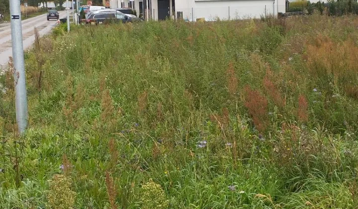 Działka budowlana Zbrudzewo, ul. Ametystowa