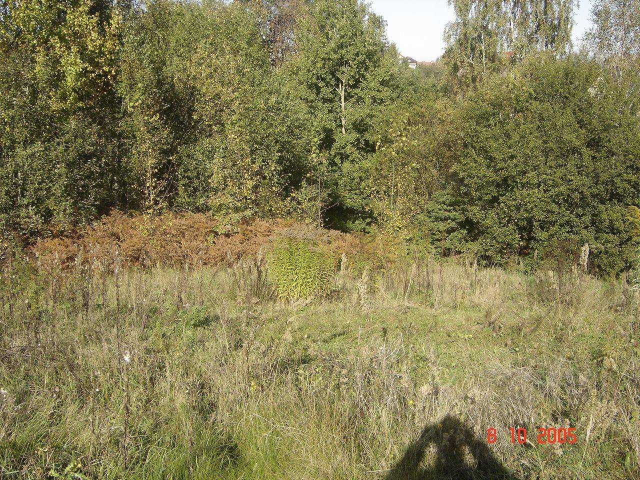 Działka budowlana Kornatka. Zdjęcie 6