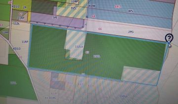 Działka leśna Ignacew Folwarczny