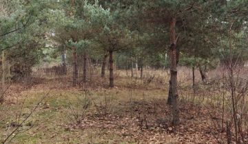 Działka budowlana Nowe Budy, ul. Sosnowa