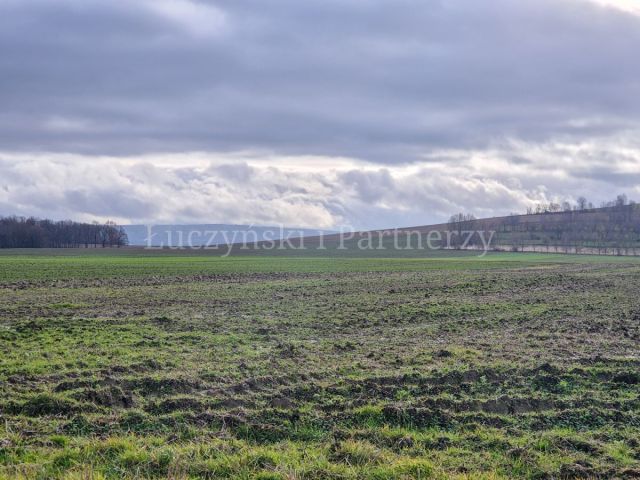 Działka rolna Krzewie Wielkie. Zdjęcie 5