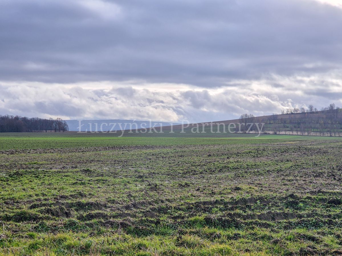 Działka rolna Krzewie Wielkie. Zdjęcie 5