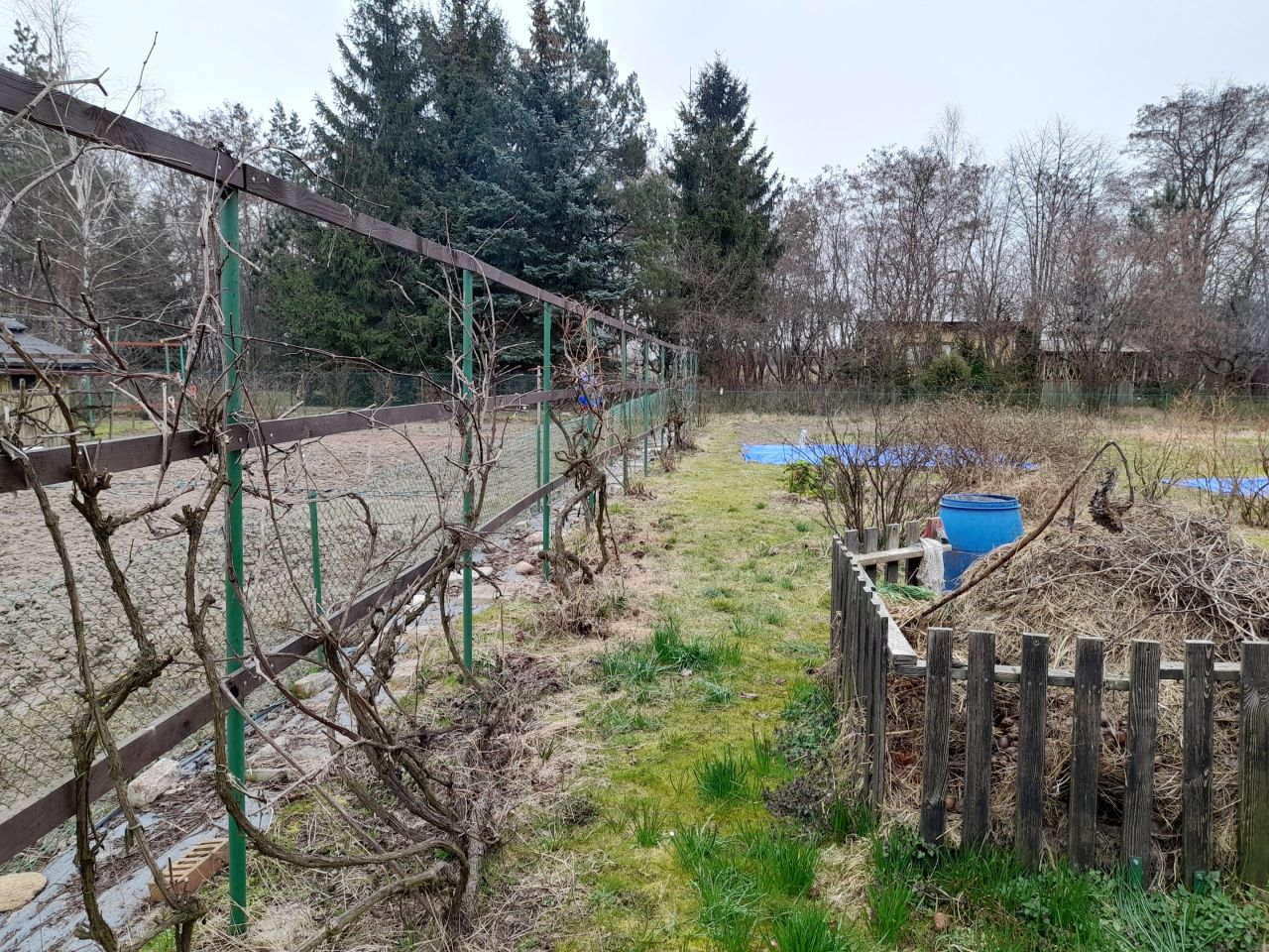 Działka rekreacyjna Biała Podlaska, Styrzyniec. Zdjęcie 2