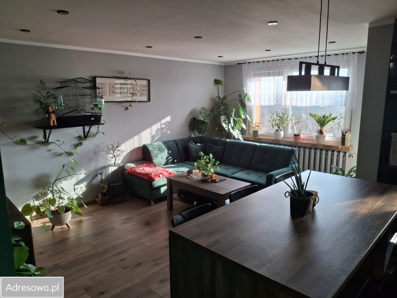 Mieszkanie 3-pokojowe Mysłowice Brzęczkowice, ul. Bernarda Wały. Zdjęcie 5