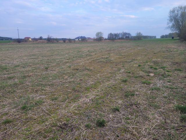 Działka budowlana Żabiczyn. Zdjęcie 1