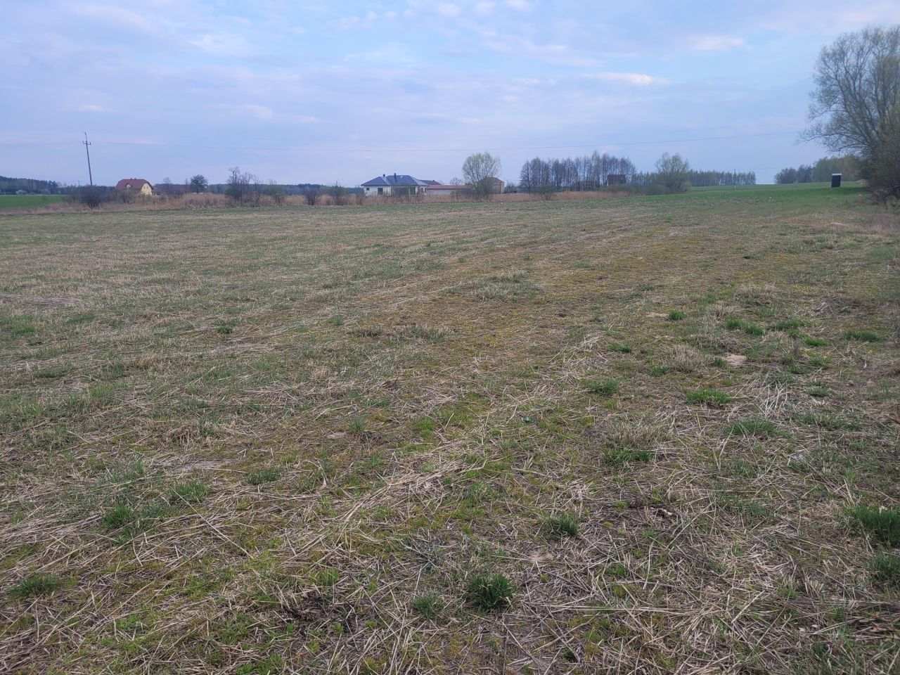 Działka budowlana Żabiczyn