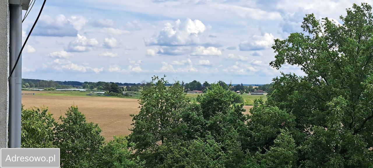 Mieszkanie 4-pokojowe Idzikowice. Zdjęcie 20