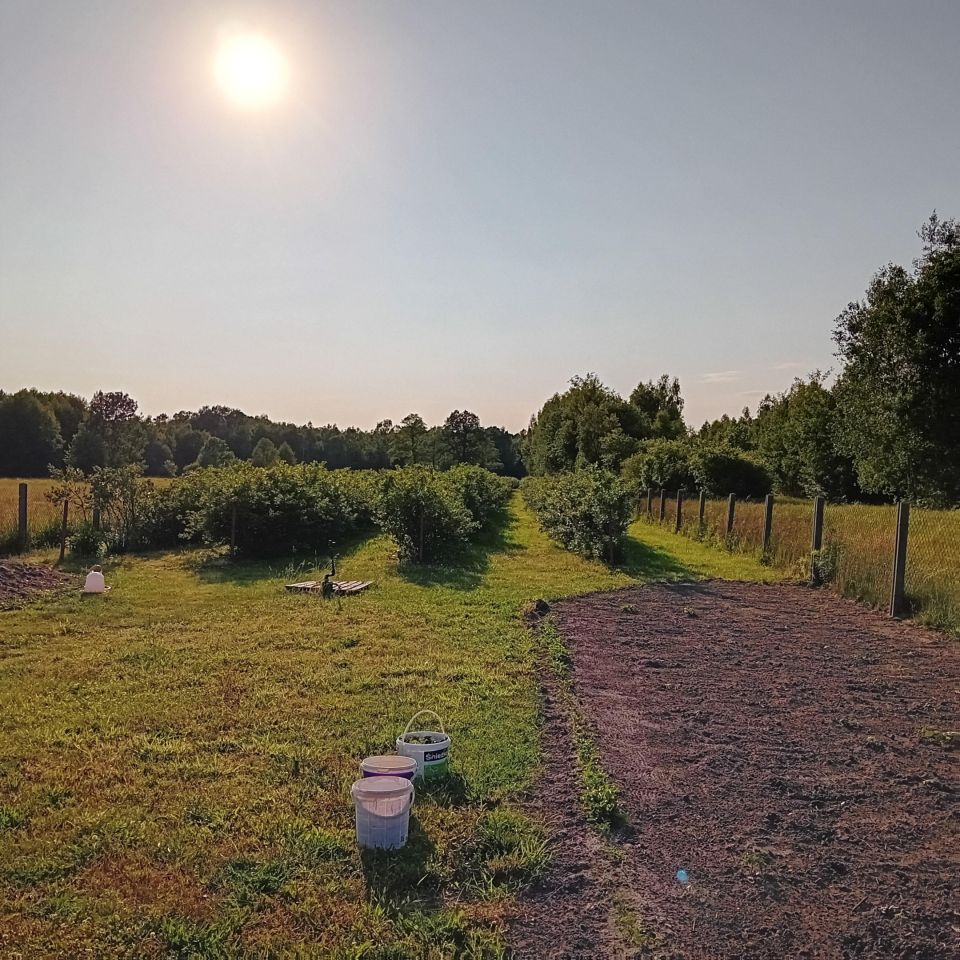 dom wolnostojący, 5 pokoi Grabina Radziwiłłowska, ul. Duża. Zdjęcie 18