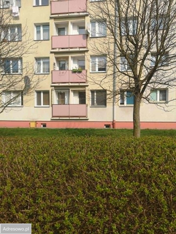 Mieszkanie 2-pokojowe Elbląg, ul. Robotnicza. Zdjęcie 5
