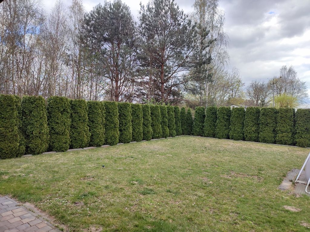 dom wolnostojący, 4 pokoje Kampinos. Zdjęcie 15