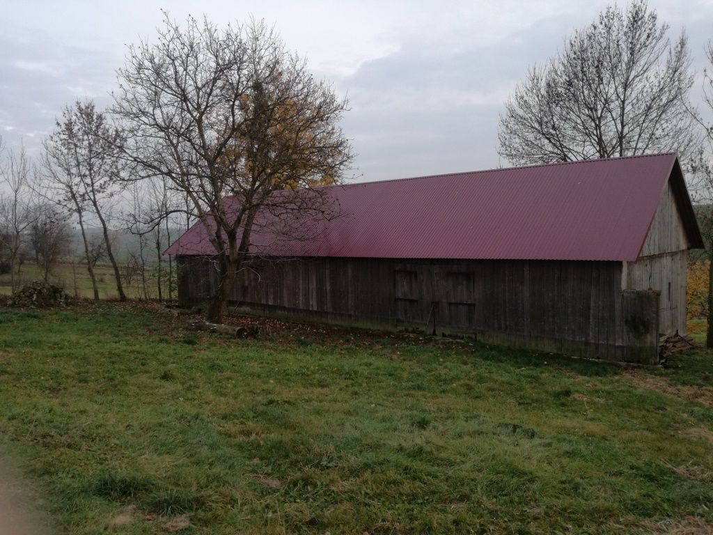 Działka rolno-budowlana Janówka Zachodnia. Zdjęcie 14