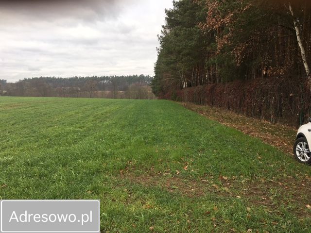 Działka inwestycyjna Józefowo