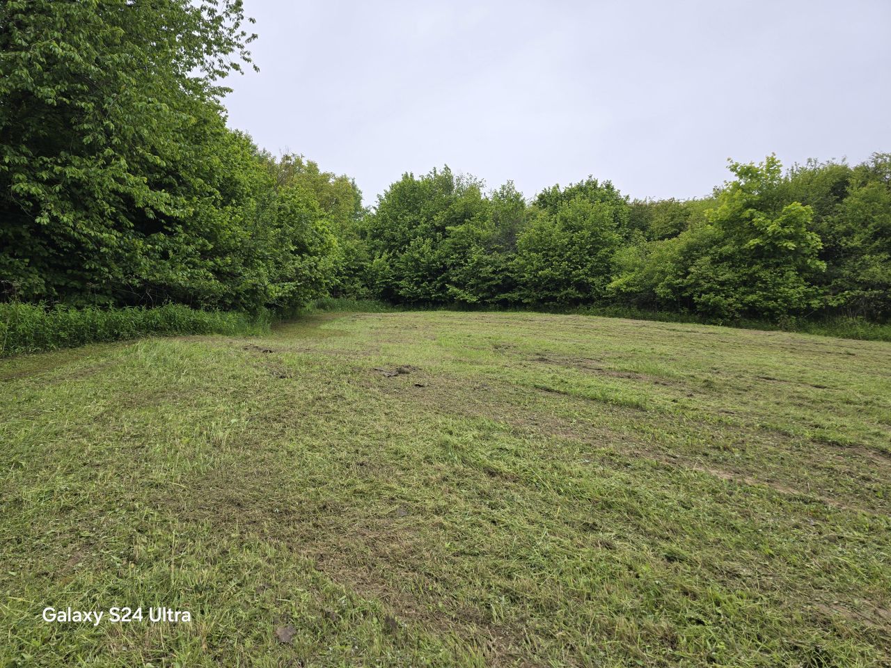 Działka rolno-budowlana Nowy Kamień. Zdjęcie 2