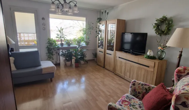 Mieszkanie 1-pokojowe Żyrardów Teklin, ul. Parkingowa