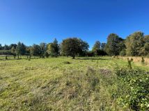 Działka budowlana Niewiastowo. Zdjęcie 4