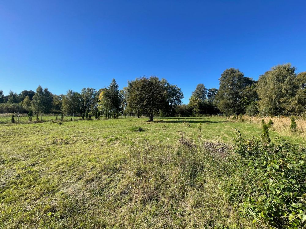 Działka budowlana Niewiastowo. Zdjęcie 5