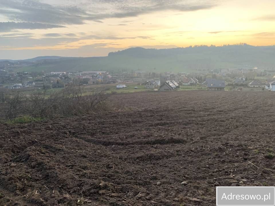 Działka rolno-budowlana Czarny Bór. Zdjęcie 2