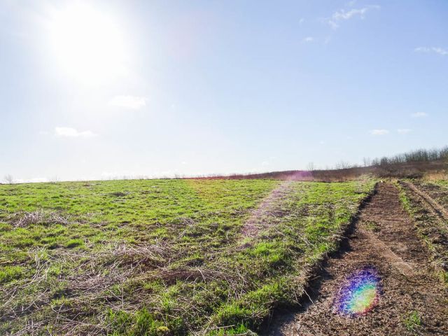 Działka budowlana Dobra, ul. Graniczna. Zdjęcie 6