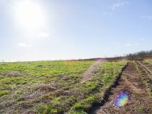 Działka budowlana Dobra, ul. Graniczna. Zdjęcie 4