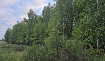 Działka leśna Berejów