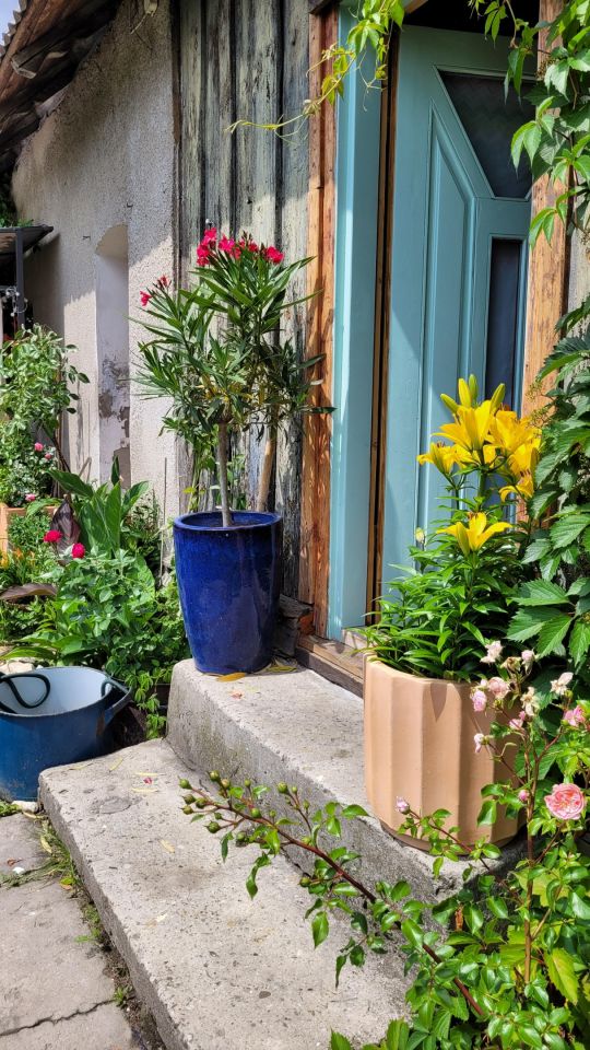 dom wolnostojący, 2 pokoje Włodowice, N. Zdjęcie 64