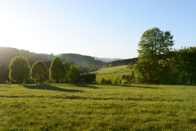 Działka budowlana Bartnica Wyrębina. Zdjęcie 1