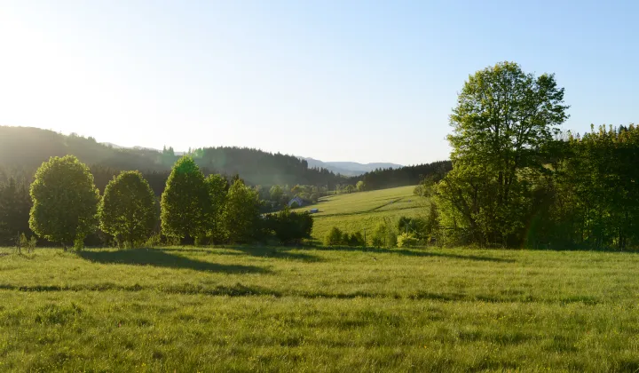 Działka budowlana Bartnica Wyrębina