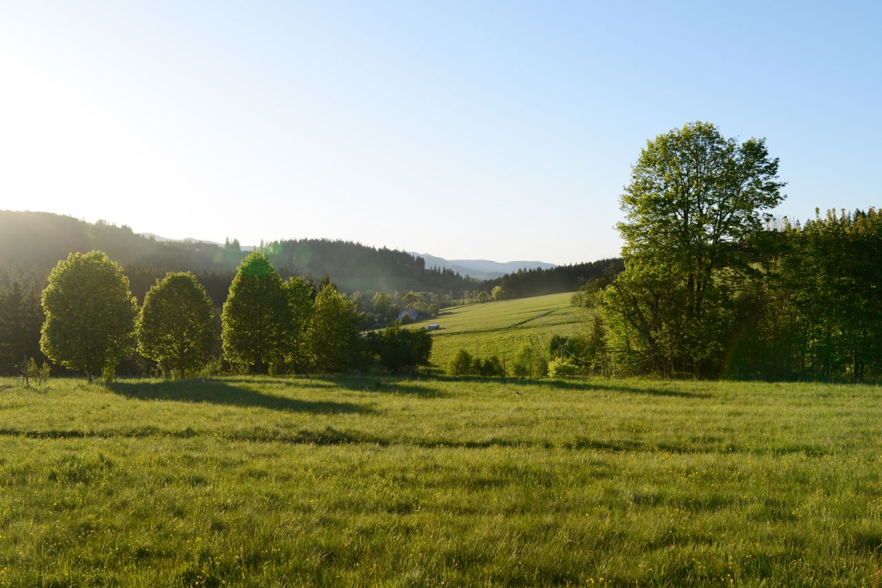 Działka budowlana Bartnica Wyrębina. Zdjęcie 1