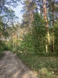Działka budowlana Otwock Soplicowo, ul. Łowiecka. Zdjęcie 2