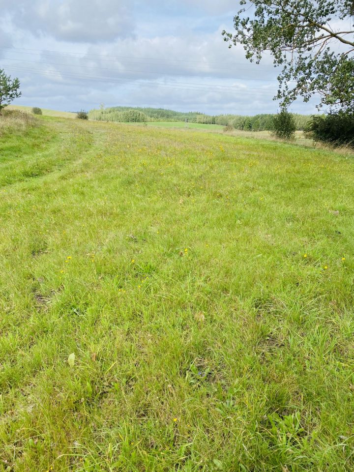 Działka rolna Dalewo. Zdjęcie 2