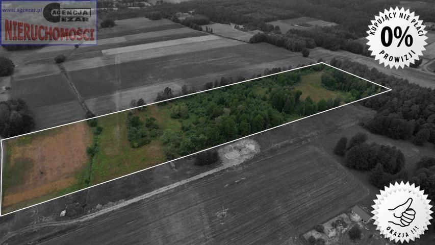 Działka rolno-budowlana Papiernia