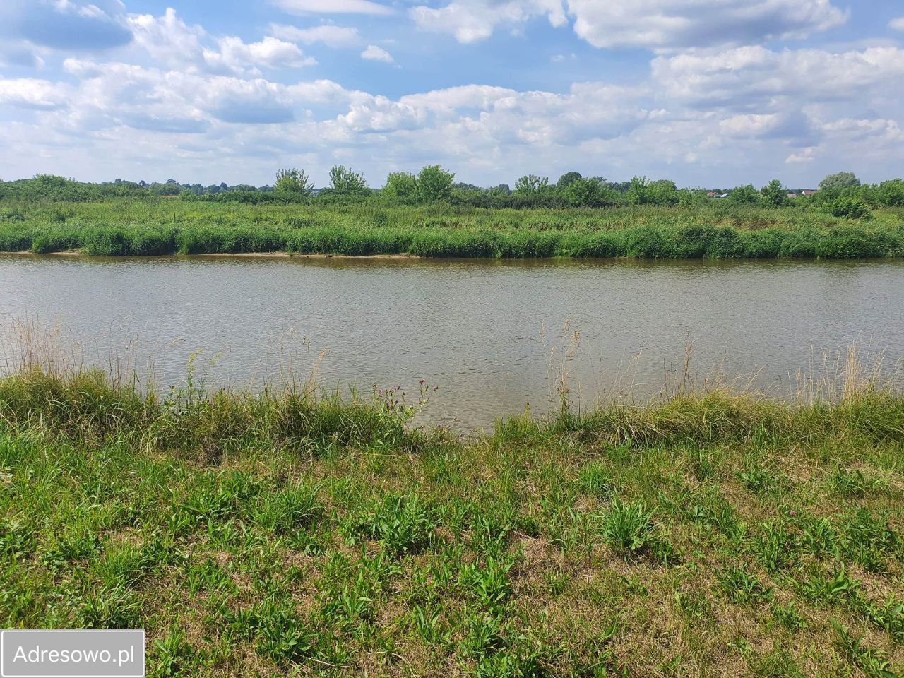 Działka rekreacyjna Morzyczyn-Włóki. Zdjęcie 5