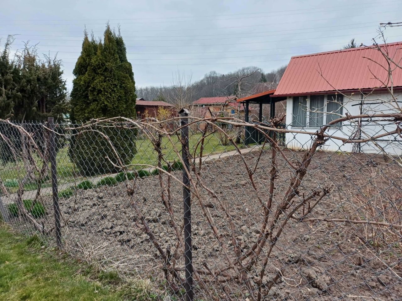 Działka rod Olsztyn. Zdjęcie 6