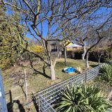 Działka rod Zabrze Helenka. Zdjęcie 1