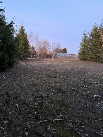 Działka rolna Sokołów Podlaski, Wysoka. Zdjęcie 1