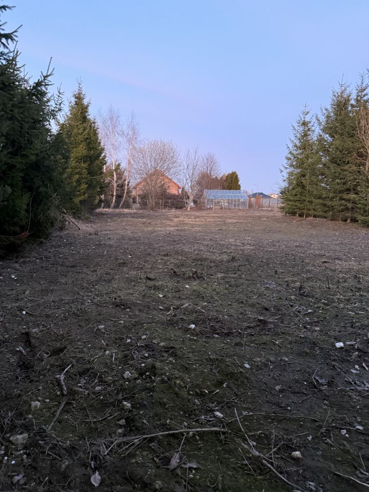 Działka rolna Sokołów Podlaski, Wysoka. Zdjęcie 1