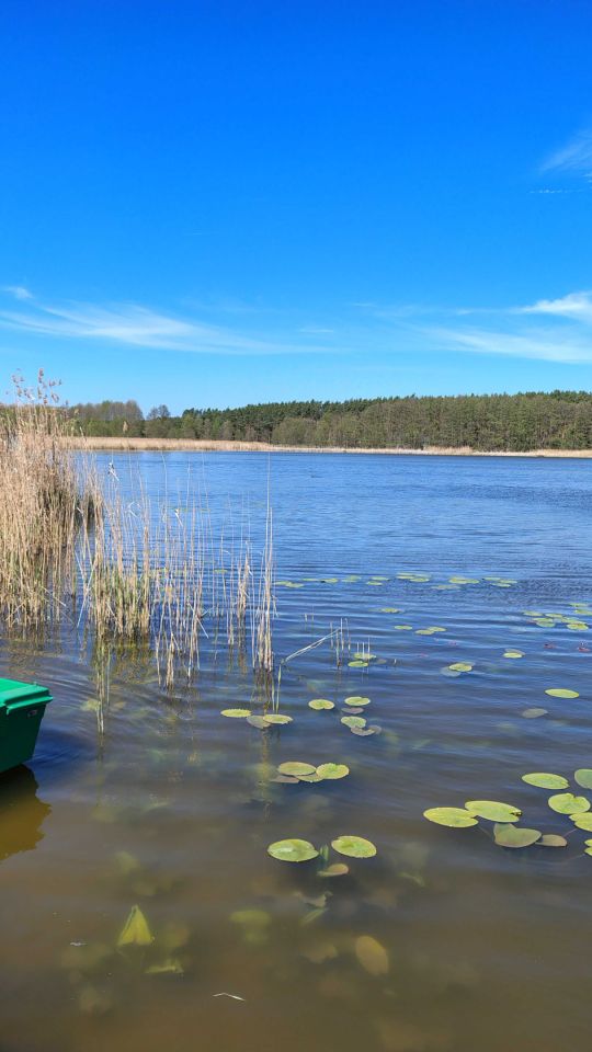 Działka budowlana Zaborówiec. Zdjęcie 2