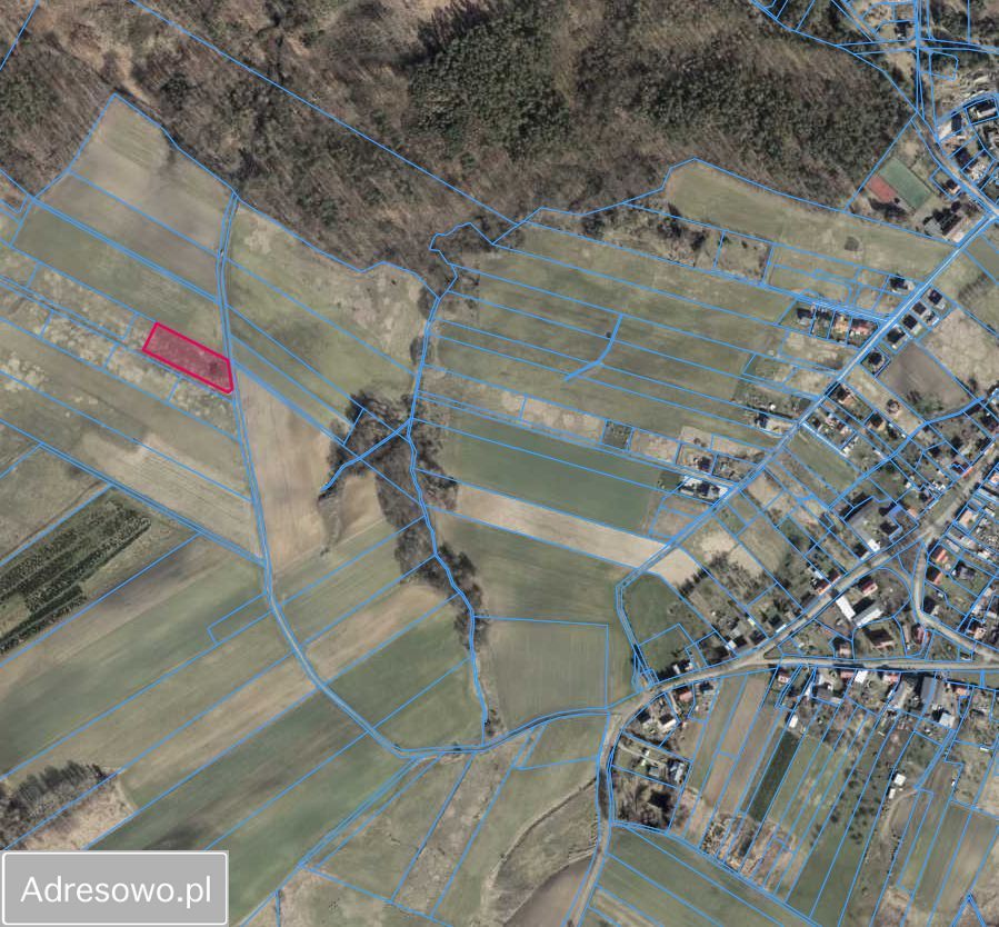 Działka rolna Przęsocin. Zdjęcie 4