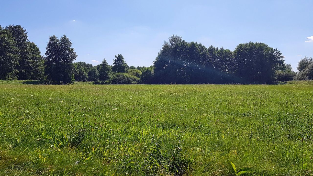 Działka budowlana Ksawercin. Zdjęcie 5